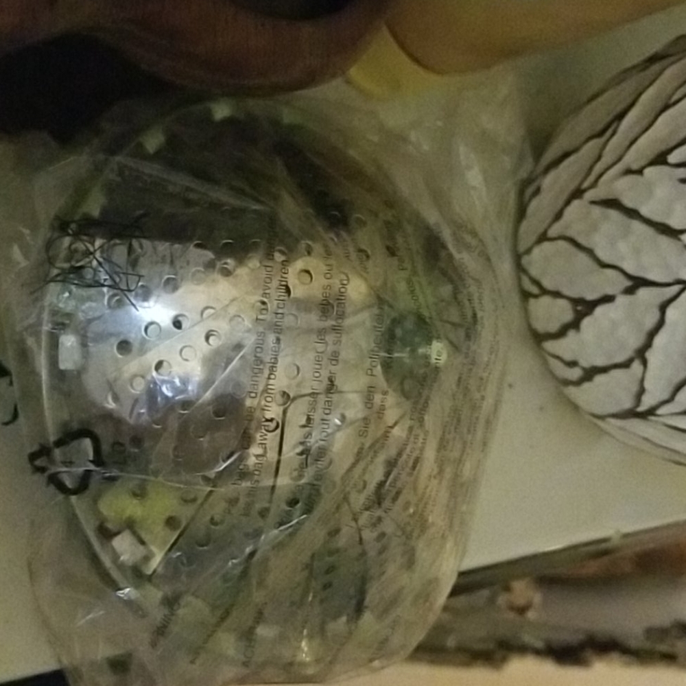 COPY - Metal vegetable steamer